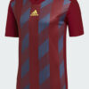 Adidas Striped 19 JSY Y DP3203 Burgundy/Blue/Yellow