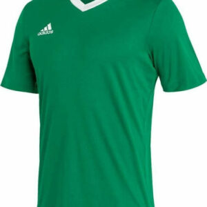 Adidas Entrada 22 JSY HI2123 Tea Green/White