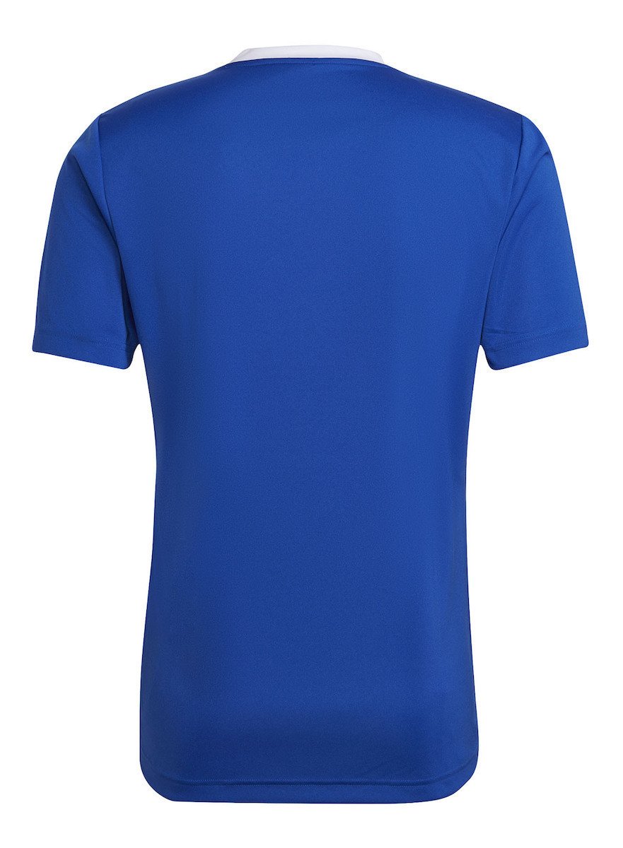 Adidas Entrada 22 JSY HG6283 Royal Blue